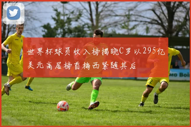 世界杯球员收入榜揭晓C罗以295亿美元高居榜首梅西紧随其后